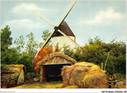 AKPP4-0342-MOULIN - MOULIN DANS LE MARAIS  - Windmills