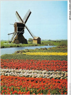 AKPP4-0326-MOULIN - VUE SUR MOULIN ET FLEURS  - Windmills