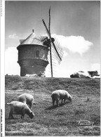 AKPP4-0302-MOULIN - PRESQU'ILE GUERANDAISE - MOULIN DU DIABLE  - Windmills