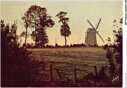 AKPP4-0286-MOULIN - MOULINS DES FLANDRES - STEENVORDE  - Windmills