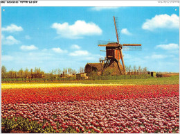 AKPP3-0243-MOULIN - HOLLAND - LAND OF FLOWERS AND WIND-MILS  - Windmills