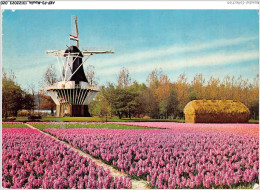 AKPP3-0208-MOULIN - HOLLAND - LAND OF FLOWERS AND WIND-MILLS  - Windmühlen