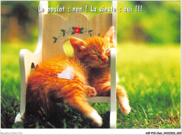 AKPP10-0790-CHAT - CHAT ROUX - LE BOULOT - NON - LA SIESTE - OUI  - Katzen