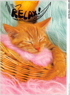 AKPP10-0789-CHAT - CHAT ROUX - RELAX  - Chats
