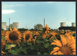 AK Biblis /Hessen, RWE-Atomkraftwerk Im Sonnenblumenfeld  - Other & Unclassified