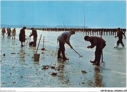 AKPP8-0714-METIER - COTENTIN PITTORESQUE - PECHEURS A MAREE BASSE  - Pêche