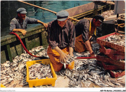 AKPP8-0711-METIER - CONCARNEAU - RETOUR DE PECHE  - Pêche