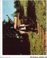 AKPP8-0662-METIER - SCENE DE SCHLITTAGE  - Farmers