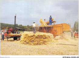 AKPP8-0625-METIER -  SCENE DE DEPIQUAGE  - Farmers