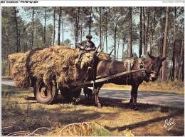 AKPP8-0616-METIER - LA LANDE - LA FORET LANDAISE AVEC LES BROS LANDAIS  - Paysans