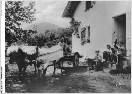 AKPP8-0609-METIER - PAYS BASQUE - LA COUR DE LA FERME  - Bauern