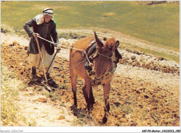 AKPP8-0632-METIER - PLOUGHING IN THE FIELDS  - Paysans
