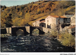 AKOP1-0098-MONIER - Environs D'ISSOIRE - La Couze De Besse Et Le Vieux Pont De Saurier - Monier