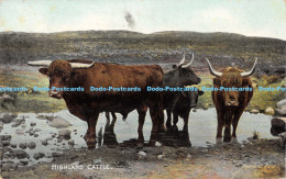 R177772 Highland Cattle. C. Reid. Millar And Lang. National Series. 1907 - Wereld