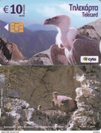 CYPRUS - Bird, Gyps Fulvus, Tirage 20000(released Only 1000 Pieces), 05/09, Used - Águilas & Aves De Presa