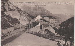 HTE SAVOIE-Chamonix-Chemin De Fer Et Hôtel Du Montenvers LF 1569 - Chamonix-Mont-Blanc