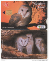 CYPRUS - Bird, Tyto Alba, Tirage 20000, 05/09, Used - Other & Unclassified