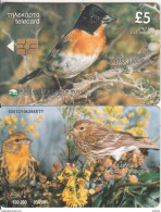 CYPRUS - Bird, Brambling/Serin, 05/01, Used - Sonstige & Ohne Zuordnung