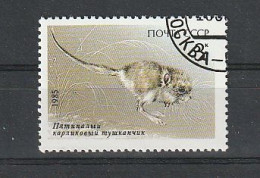 RUSSIE N°5241 OBLITERE - Used Stamps