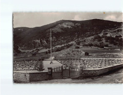 VASSIEUX EN VERCORS : Cimetière National - Très Bon état - Sonstige & Ohne Zuordnung