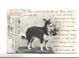 CPA  CHIEN TENANT UN VASE DE FLEURS  En 1905! (voir Timbre Allemagne ) - Dressed Animals