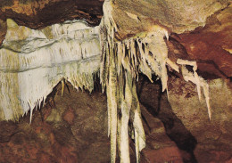 46, Les Grottes De Lacave, Les Pattes D’Araignée - Lacave