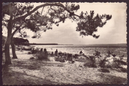 RONCE LES BAINS CONTRE JOUR SUR LA PLAGE 17 - Autres & Non Classés