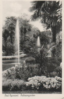 22618 - Der Palmengarten In Bad Pyrmont - Ca. 1955 - Bad Pyrmont