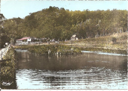 FORÊT De BERCE (72) Etang De L'Hermitière  CPSM  GF - Autres & Non Classés