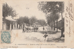 Q25- MOUZAIAVILLE (ALGERIE) ENTREE DU VILLAGE PAR LA ROUTE D'EL AFFROUN - (ANIMEE - HABITANTS - BOEUFS) - Autres & Non Classés