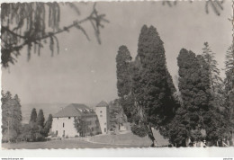 Q21-65) OZON PAR TOURNAY -  ABBAYE DE L'IMMACULEE CONCEPTION - FACADE EST - (2 SCANS) - Tournay