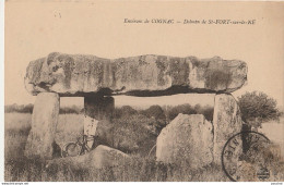 Q14-16) ENVIRONS DE COGNAC - DOLMEN DE SAINT FORT SUR LE NE  - (2 SCANS) - Autres & Non Classés