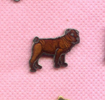 Rare Petit Pins De Chien Race ? Egf K307 - Animals