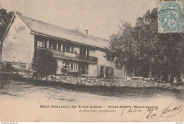 R14-74) GRAND SALEVE (HAUTE SAVOIE)  HOTEL RESTAURANT DES TREIZE ARBRES - Autres & Non Classés