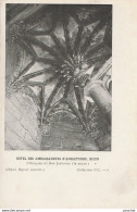 R12-21) DIJON - HOTEL DES AMBASSADEURS D' ANGLETERRE - L'ESCALIER DU BON JARDINIER (LE NOYAU) - (2 SCANS) - Dijon