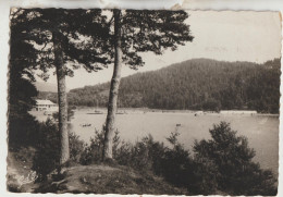 Lac Chambon  63 Carte Glacée G F  Circulée Timbrée  Plage Du Lac Chambon  Bateaux - Autres & Non Classés