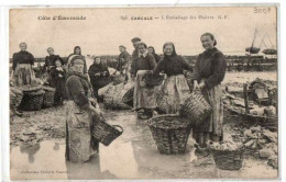 CANCALE L EMBALLAGE DES HUITRES TRES ANIMEE - Cancale