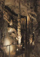 46, Saint Cere, Grottes De Presque, Colonnes Sonores - Saint-Céré