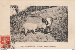 S13-24) PERIGUEUX (DORDOGNE)  DEUX PERIGORDS CHERCHANT LA TRUFFE - ( ANIMEE - COCHON ) - Périgueux