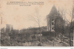 S8-49) AUBIGNE BRIAND (MAINE ET LOIRE) RUINES DU CHATEAU D' AUBIGNE  - (2 SCANS) - Altri & Non Classificati