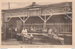 S29-80) CAYEUX SUR MER - LA HALLE AUX POISSONS  - ( 2 SCANS ) - Cayeux Sur Mer