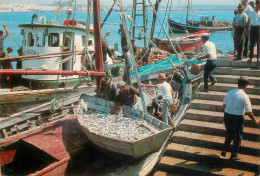 Portugal Algarve Harbour Scenery Fishing Boats Arrival - Autres & Non Classés