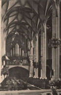 123719 - Annaberg-Buchholz - St. Annenkirche - Orgel - Annaberg-Buchholz