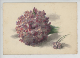 Barré & Dayez - Barday - Bouquet De Violettes (fleurs) N° 1513B - Andere & Zonder Classificatie