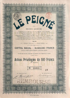 La Peigné - Verviers - Action Priviligiée De 500 Francs - 1924 - Autres & Non Classés