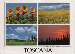 9002129 - Toscana - Italien - 4 Bilder - Otros & Sin Clasificación