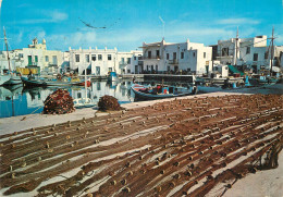 Greece Paros Naoussa Morning In The Port - Grèce