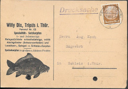 Germany WW2 Triptis Fischfarm Postcard Mailed 1940. Karpfen Fisch Carp Fish - Lettres & Documents