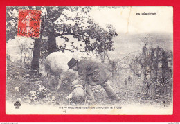 F-24-Perigord-06P86  Groupe Sympathique Cherchant La Truffe, Homme Et Son Cochon, Cpa (état) - Other & Unclassified