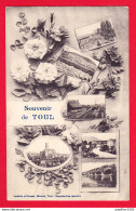 F-54-Toul-08P27 Souvenir De TOUL, Multivues, Cpa BE - Toul